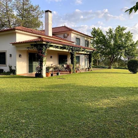 Вілла Casa Do Campo - Castelo Branco Каштелу-Бранку Екстер'єр фото