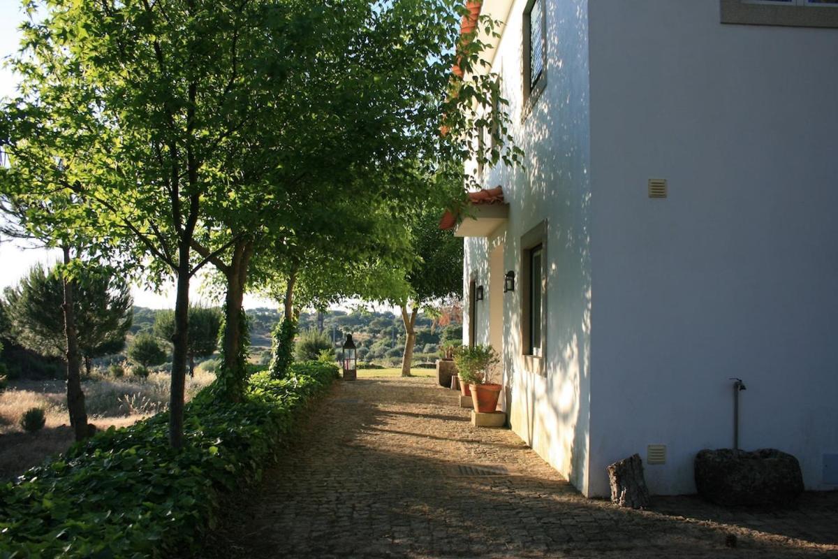 Вілла Casa Do Campo - Castelo Branco Каштелу-Бранку Екстер'єр фото