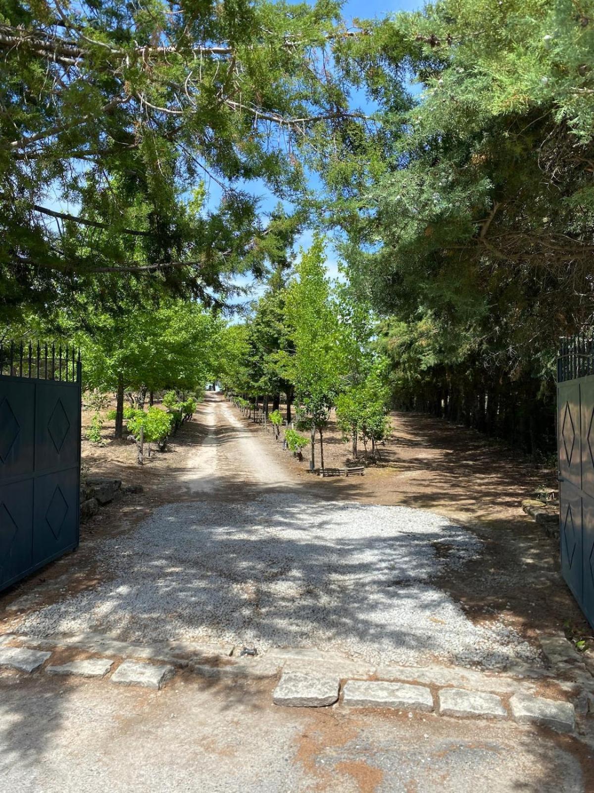 Вілла Casa Do Campo - Castelo Branco Каштелу-Бранку Екстер'єр фото