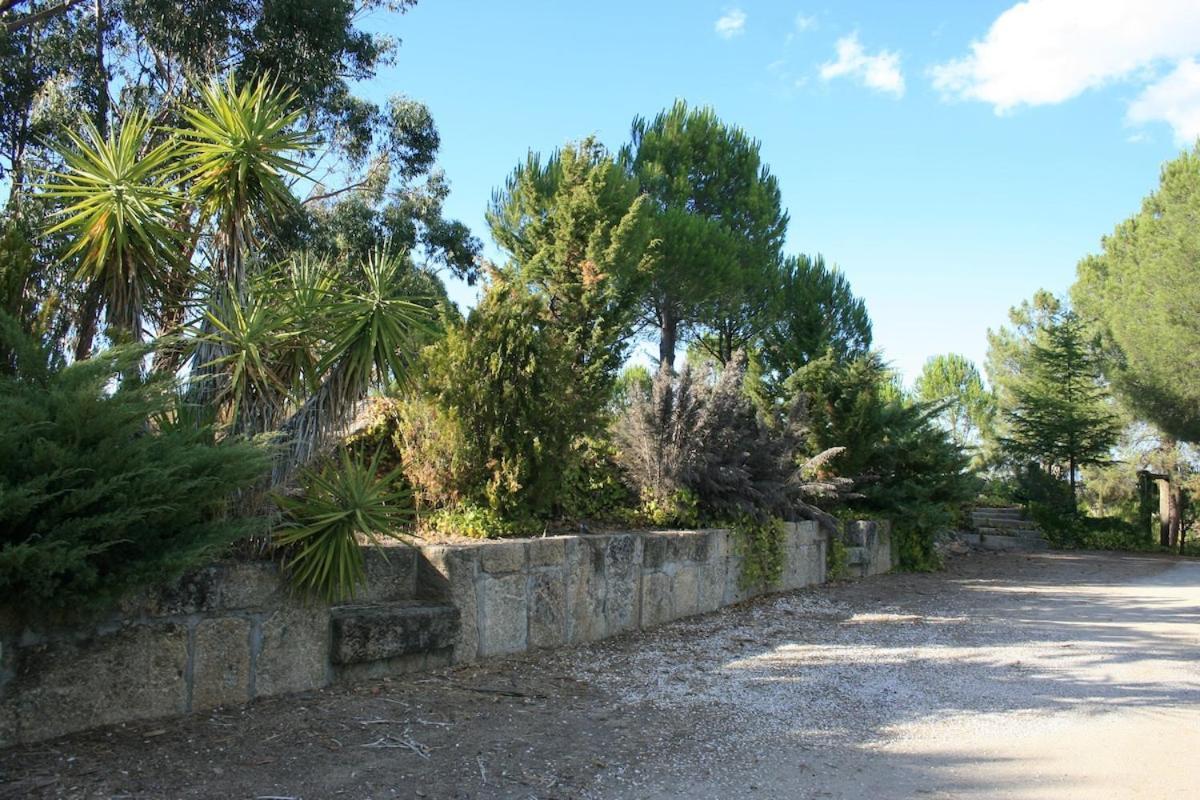 Вілла Casa Do Campo - Castelo Branco Каштелу-Бранку Екстер'єр фото